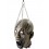 Dismembered Head, Grey