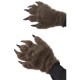 Hairy Monster Hands