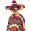 Large Sombrero, Multi-Coloured