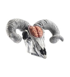 Latex Rams Skull Prop with Exposed Brain