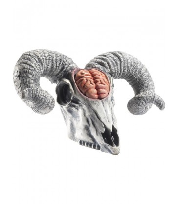 Latex Rams Skull Prop with Exposed Brain