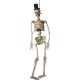 Light Up Latex Hanging Skeleton Groom Decoration