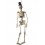 Light Up Latex Hanging Skeleton Groom Decoration, 