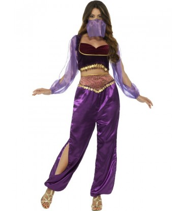 Arabian Princess Costume2