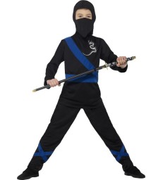 Ninja Assassin Costume, Black & Blue