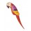 Parrot, Red, Orange & Yellow