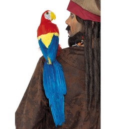 Parrot 50cm / 20in, Multi-Coloured