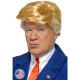 President Wig