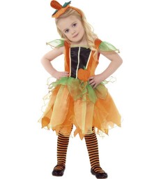 Pumpkin Fairy Costume, Orange