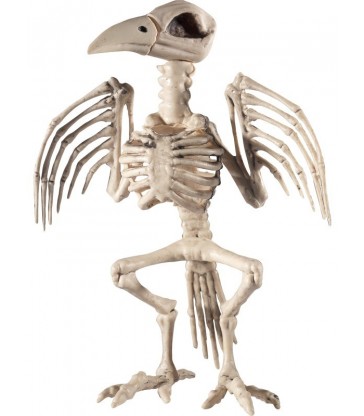 Raven Skeleton Prop