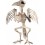 Raven Skeleton Prop, Natural