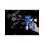 Regal Tang Fish, Bubble Gun, Blue