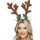 Reindeer Antlers