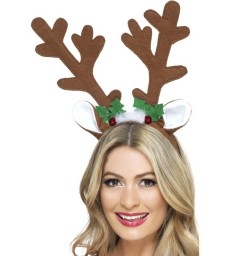 Reindeer Antlers