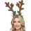 Reindeer Antlers, Brown