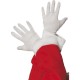 Santa Gloves2