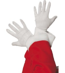 Santa Gloves2