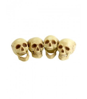 Skull Heads