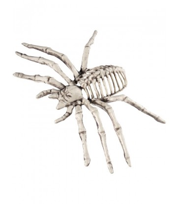 Small Spider Skeleton Prop