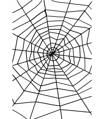 Spider & Spiders Web