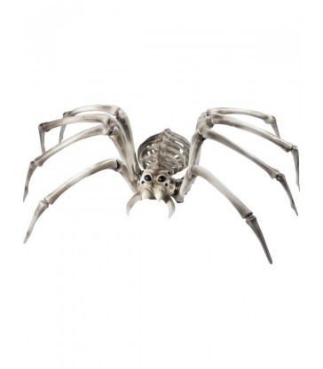 Spider Skeleton Prop