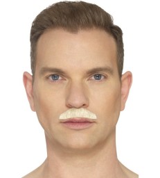 The Chevron Moustache2