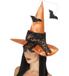 Trick or Treat Witch Hat