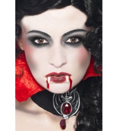 Vampire Make-Up Set