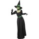 Witch Costume3