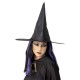 Witch Hat4