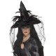 Witch Hat, Feathers & Netting