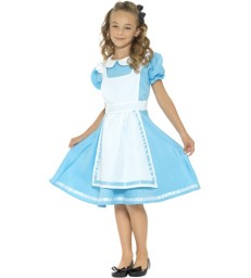 Wonderland Princess Costume