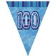 BLUE GLITZ 100 FLAG BANNER 12FT