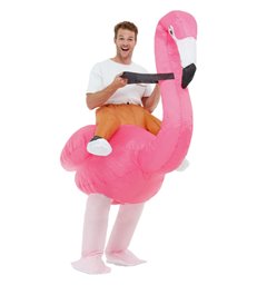 Inflatable Ride Em Flamingo Costume