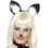 Cat Ears