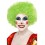 Crazy Clown Wig, Green