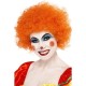 Crazy Clown Wig3