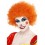 Crazy Clown Wig, Orange