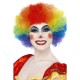 Crazy Clown Wig5