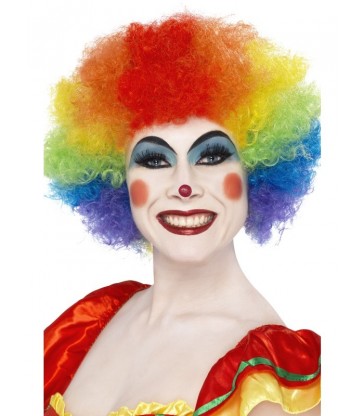 Crazy Clown Wig5