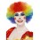 Crazy Clown Wig, Rainbow